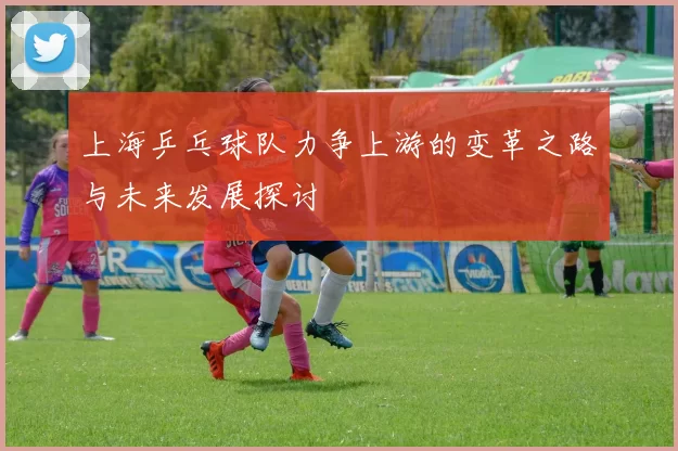 上海乒乓球队力争上游的变革之路与未来发展探讨
