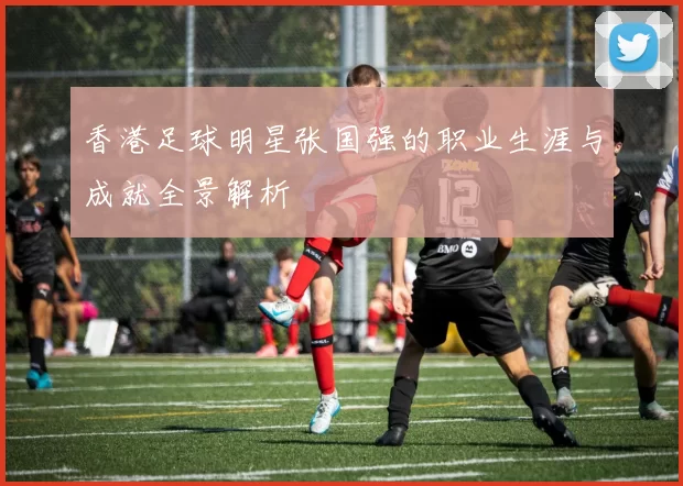 香港足球明星张国强的职业生涯与成就全景解析