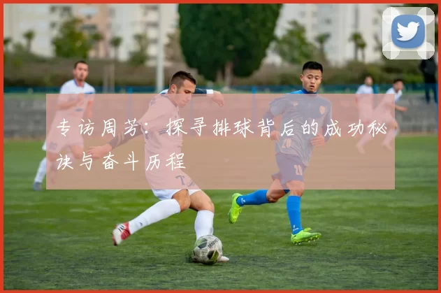 专访周芳：探寻排球背后的成功秘诀与奋斗历程