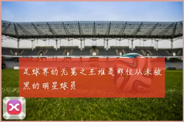 足球界的无冕之王谁是那位从未被黑的明星球员