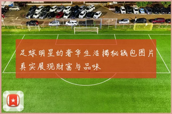 足球明星的奢华生活揭秘钱包图片真实展现财富与品味
