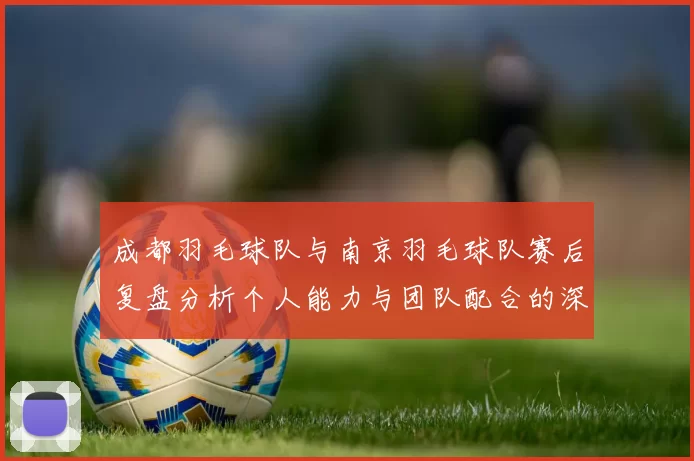 成都羽毛球队与南京羽毛球队赛后复盘分析个人能力与团队配合的深度探讨