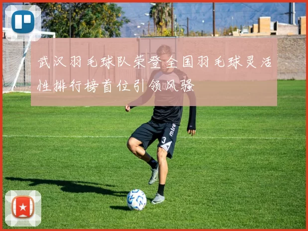 武汉羽毛球队荣登全国羽毛球灵活性排行榜首位引领风骚