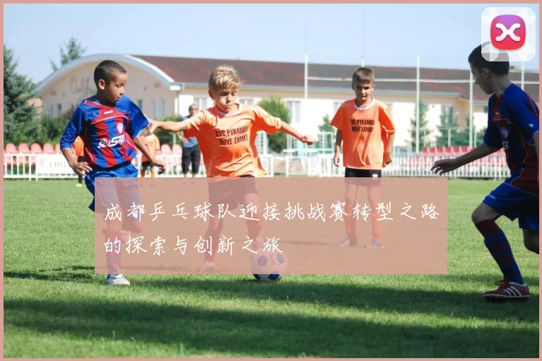 成都乒乓球队迎接挑战赛转型之路的探索与创新之旅