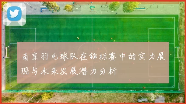 南京羽毛球队在锦标赛中的实力展现与未来发展潜力分析