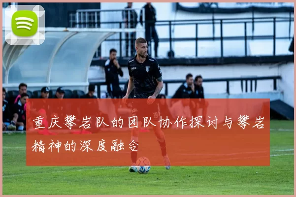 重庆攀岩队的团队协作探讨与攀岩精神的深度融合