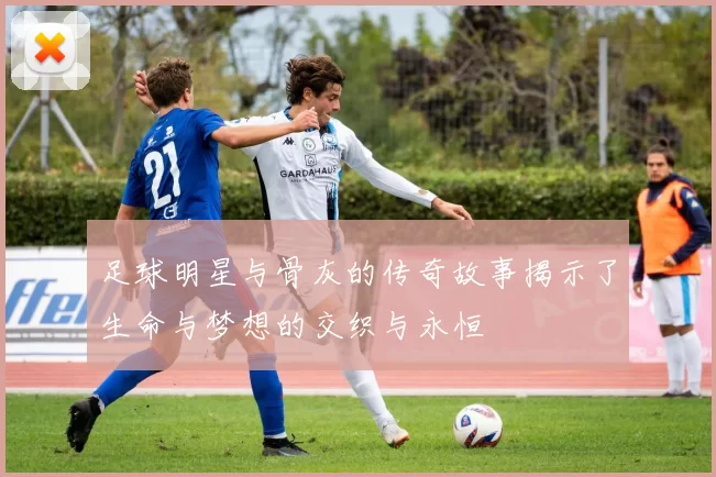 足球明星与骨灰的传奇故事揭示了生命与梦想的交织与永恒