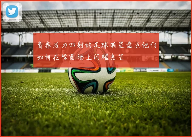 青春活力四射的足球明星盘点他们如何在绿茵场上闪耀光芒