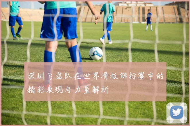 深圳飞盘队在世界滑板锦标赛中的精彩表现与力量解析