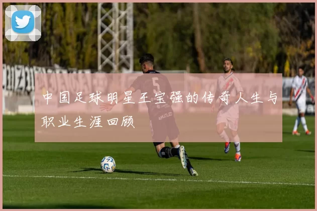 中国足球明星王宝强的传奇人生与职业生涯回顾
