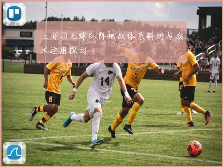 上海羽毛球队阵地战体系解析与战术运用探讨