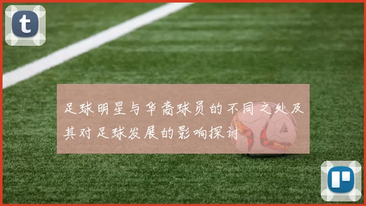 足球明星与华裔球员的不同之处及其对足球发展的影响探讨
