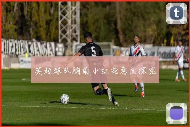 英超球队胸前小红花意义探究