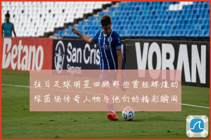 往日足球明星回顾那些曾经辉煌的绿茵场传奇人物与他们的精彩瞬间