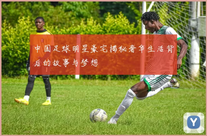 中国足球明星豪宅揭秘奢华生活背后的故事与梦想