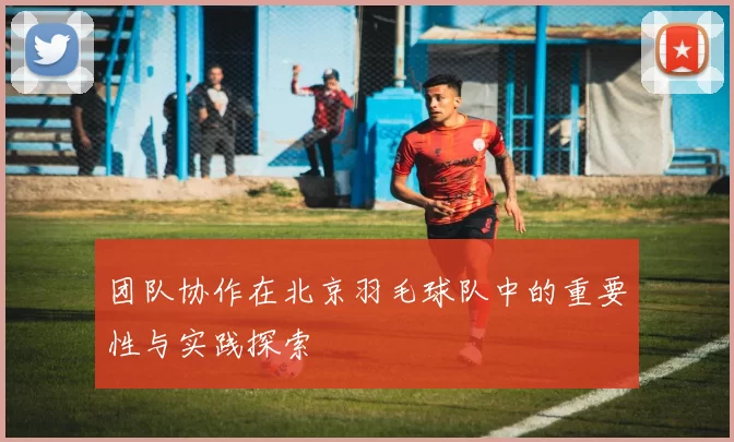 团队协作在北京羽毛球队中的重要性与实践探索