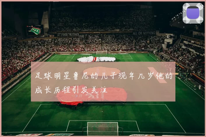足球明星鲁尼的儿子现年几岁他的成长历程引发关注