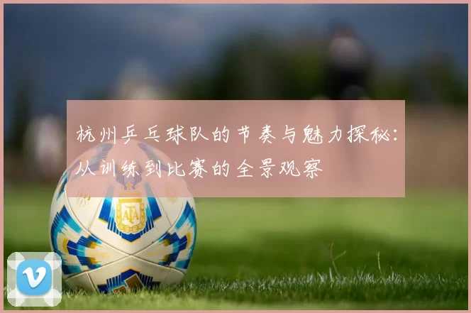 杭州乒乓球队的节奏与魅力探秘：从训练到比赛的全景观察