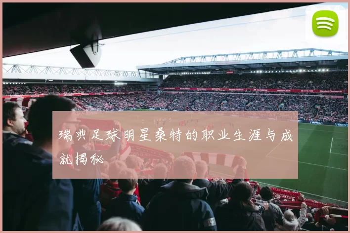 瑞典足球明星桑特的职业生涯与成就揭秘