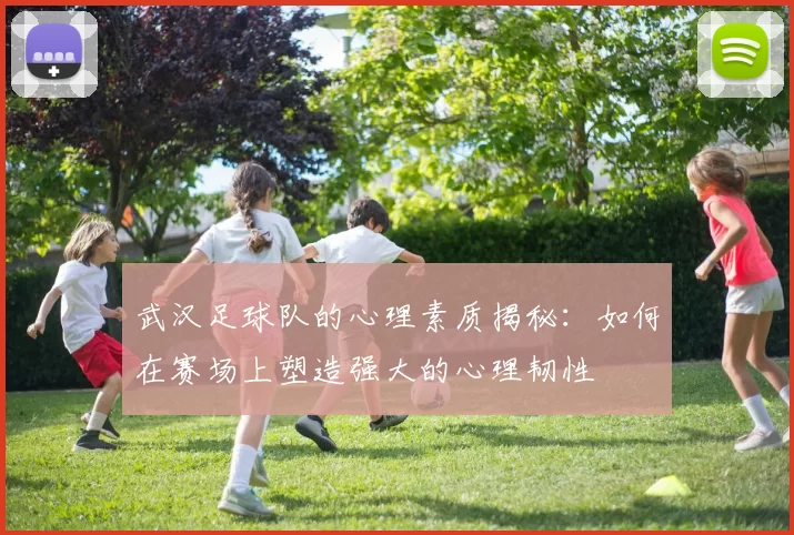 武汉足球队的心理素质揭秘：如何在赛场上塑造强大的心理韧性