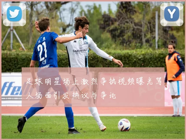 足球明星场上激烈争执视频曝光骂人场面引发热议与争论