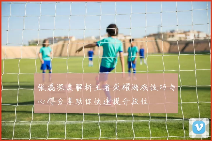 张磊深度解析王者荣耀游戏技巧与心得分享助你快速提升段位