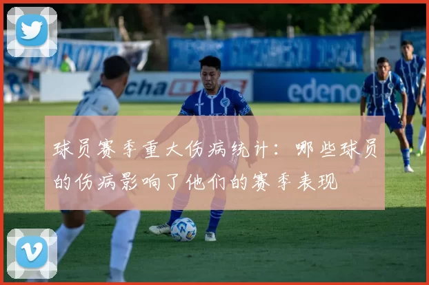 球员赛季重大伤病统计：哪些球员的伤病影响了他们的赛季表现