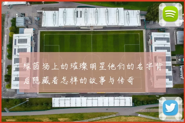绿茵场上的璀璨明星他们的名字背后隐藏着怎样的故事与传奇