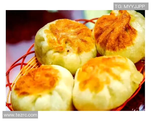 探寻中国各地风味小吃的独特魅力与文化背景，带你领略美食之旅